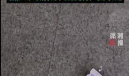 深圳侯先生最新爆料,揭秘事件背后惊人真相